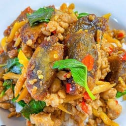 กระเพราคอนโด