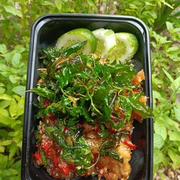 กะเพราไก่กรอบกับข้าว