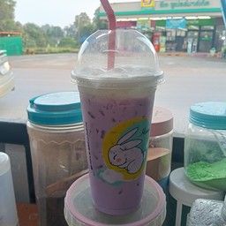 เผือกนมสด