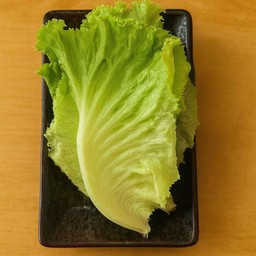 (G7)ผักสลัดฟินเล่ย์