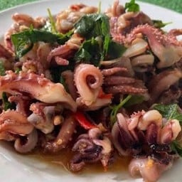 บ้านนี้มีกระเพรา สาย4