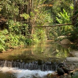 บ้านริมธารโฮมสเตย์ บ้านป่าเหมี้ยง