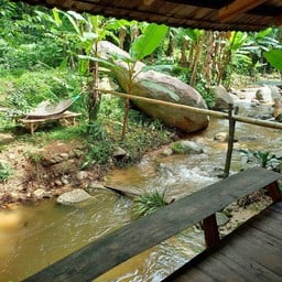 ขอบคุณรูปภาพจาก facebook คนบนดอย โฮมสเตย์ บ้านป่าเหมี้ยง / สำหรับลงข้อมูลวงใน