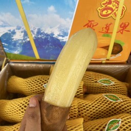 บัวหิมะ 3-3.5 กก./กล่อง