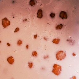 restaurantPhoto
