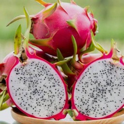 แก้วมังกร