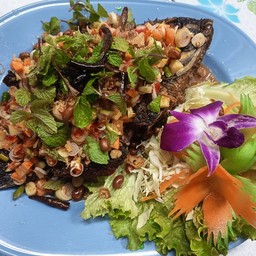 ปลานิลลุยสวน