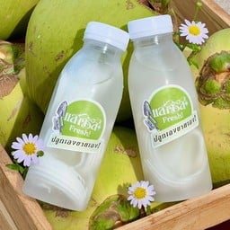 แสงจรัสเฟรช!