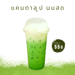 แคนตาลูป