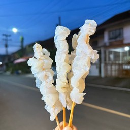 แมงกะพรุน