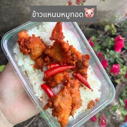 ข้าวแหนมหมูทอด