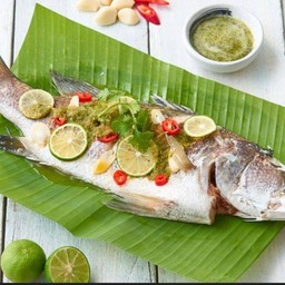 ปลากระพง