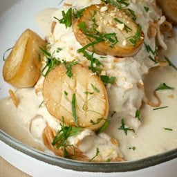 Cauliflower cream sauce