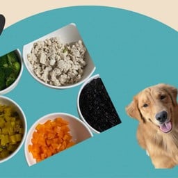 Food dog (สุนัขกินได้ คนกินดี ไม่ปรุง)