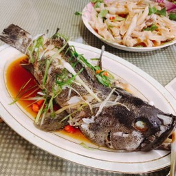 清蒸石斑鱼 ปลาเก๋านึ่ง
