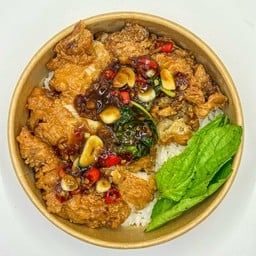 โคตรไก่กรอบกะเพรา รัชโยธิน