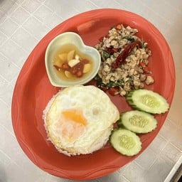 ข้าวกะเพราไก่ไข่ดาว krapow chicken egg with rice