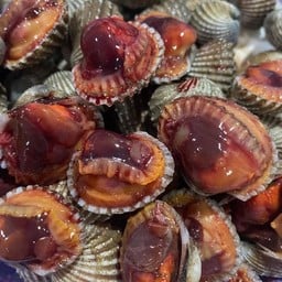 หอยแครง