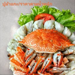 ปูม้าแกะ 2 ตัว