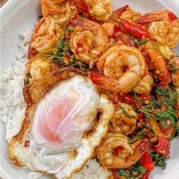 กะเพรากุ้งราดข้าว