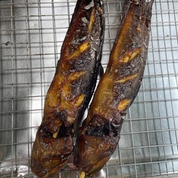 ปลาดุก (มินิ)