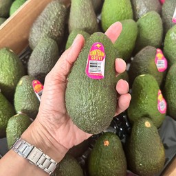 อะโวคาโดออสเตรเลียสายพันธุ์แท้ 28ลูก/กล่อง