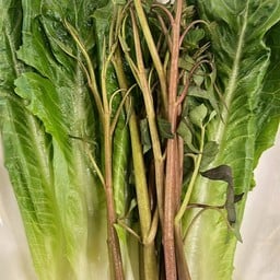 ผักแกล้ม