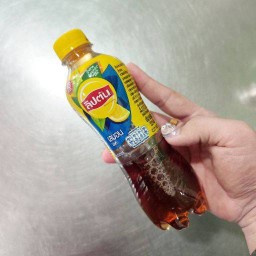 ลิปตั้น ไอซ์ที