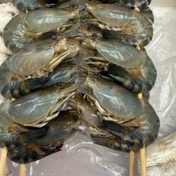 กุ้งแม่น้ำเผา ครึ่งกิโลกรัม (5-6ตัว) พร้อมน้ำจิ้ม