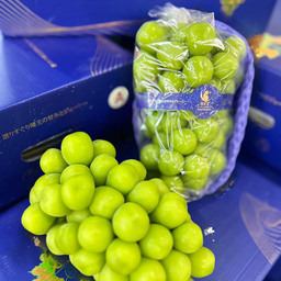 องุ่นไซมัสคัทแบรนด์นกแก้ว 2 ช่อต่อ 1 กล่อง