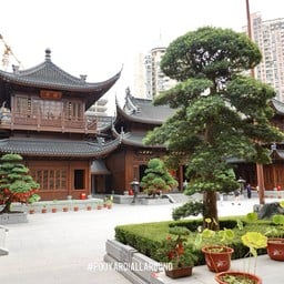 วัด Jade Budda Temple