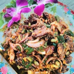 ครูต่าย อาหารป่า