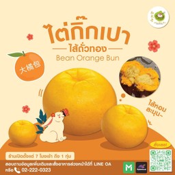 เปาส้ม(ลูก)