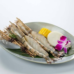 กุ้งลายเสือ