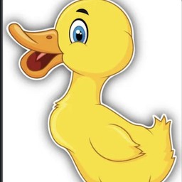 เพิ่มเป็ด