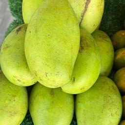 ผลไม้ล่ำซำ