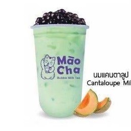 นมสดแคนตาลูป