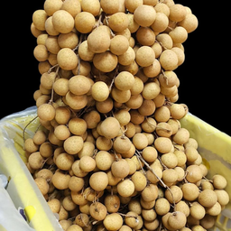 ลำไยสายพันธุ์อิดอ 5 กิโลกรัมต่อ 1 กล่อง