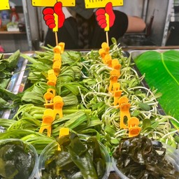 ทานตะวันอ่อน