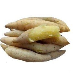 มันขาวผักกาดนึ่งหสานหอมมัน ไฟเบอร์สูง