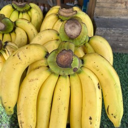 กล้วยหอมนมสด