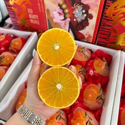 ส้มฮาฮิเมะเนื้อเยลลี่สายพันธุ์ญี่ปุ่น 2-2.5 กก/กล่อง