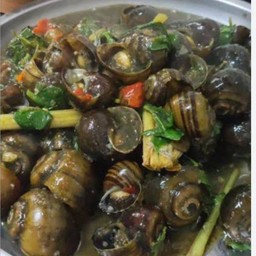 อ่อมหอยใส่ผักอีเลิส