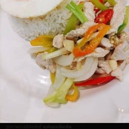 ผัดพริกหยวกหมูชิ้นไข่ดาวราดข้าว
