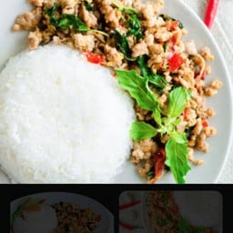 กระเพราหมูสับราดข้าว