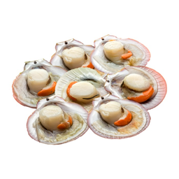 MENU_3445041Zt_1760335630