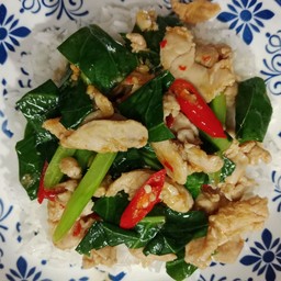 ข้าว คะน้าไก่น้ำมันหอย