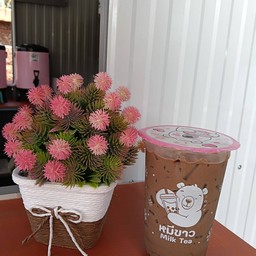 โกโก้เย็น