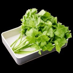 ผักขึ้นฉ่าย