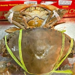 ปูทะเลขาว,ปูทะเลไข่ (Size ใหญ่) นึ่ง (1ตัว/5ขีด)